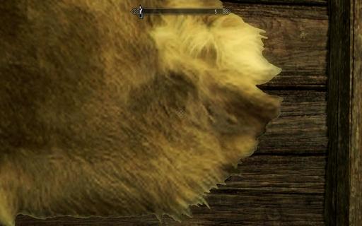 Elder Scrolls V: Skyrim, The - Skyrim: High Resolution Texture Pack